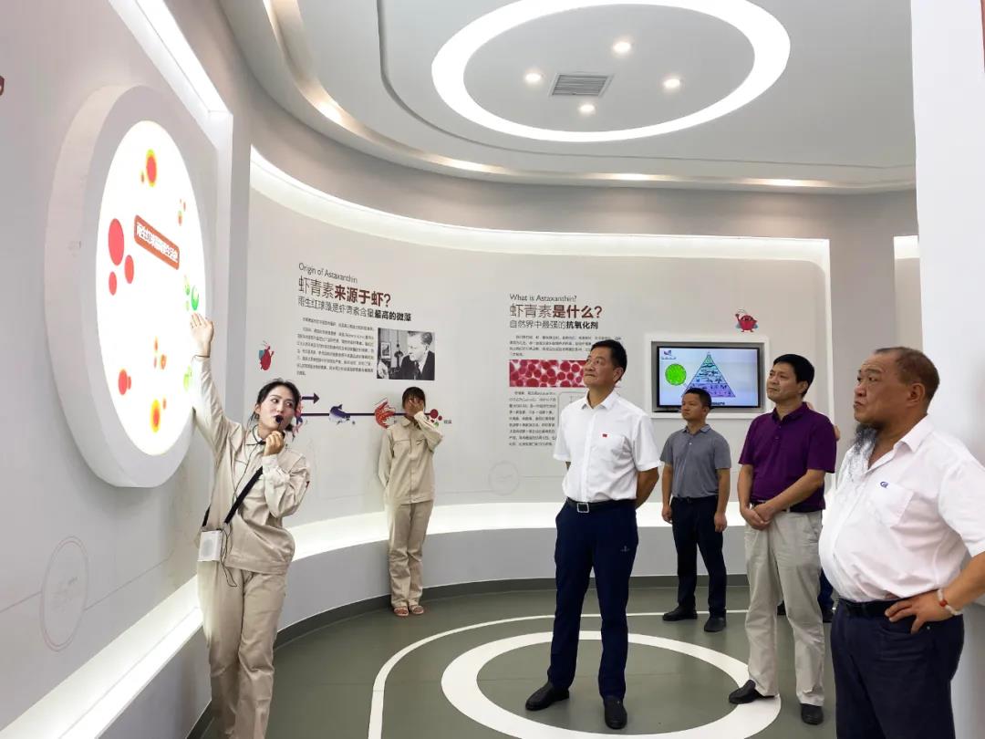 艾詩(shī)特蝦青素