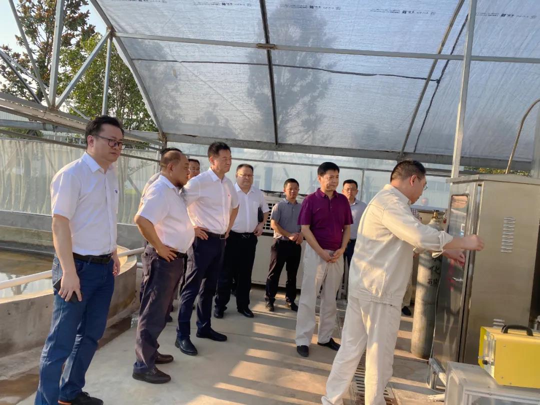 艾詩(shī)特蝦青素