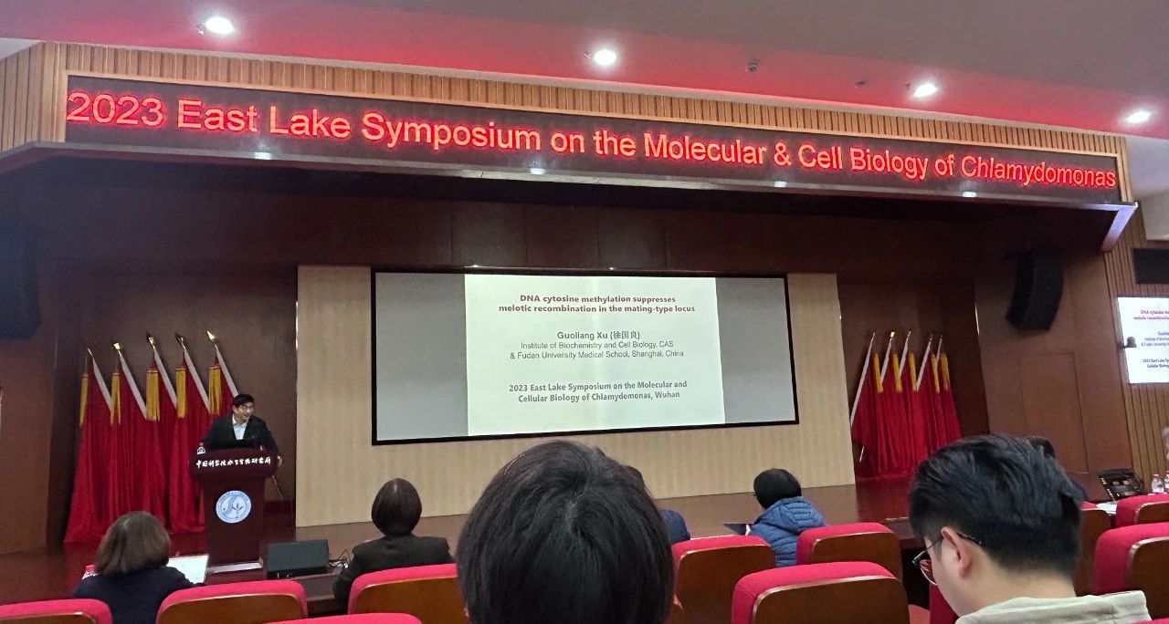 艾詩特蝦青素 艾詩特蝦青素