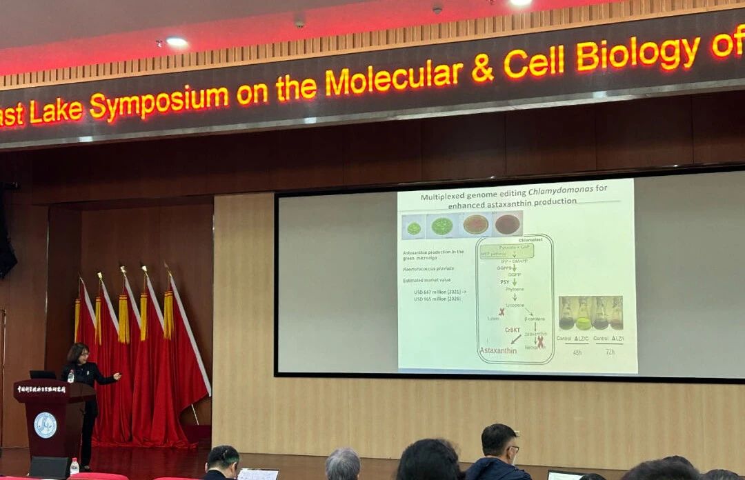 艾詩特蝦青素 艾詩特蝦青素