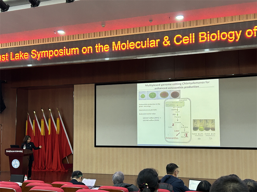 艾詩特蝦青素 艾詩特蝦青素