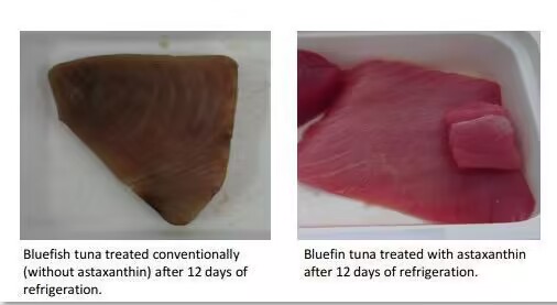 艾詩(shī)特蝦青素