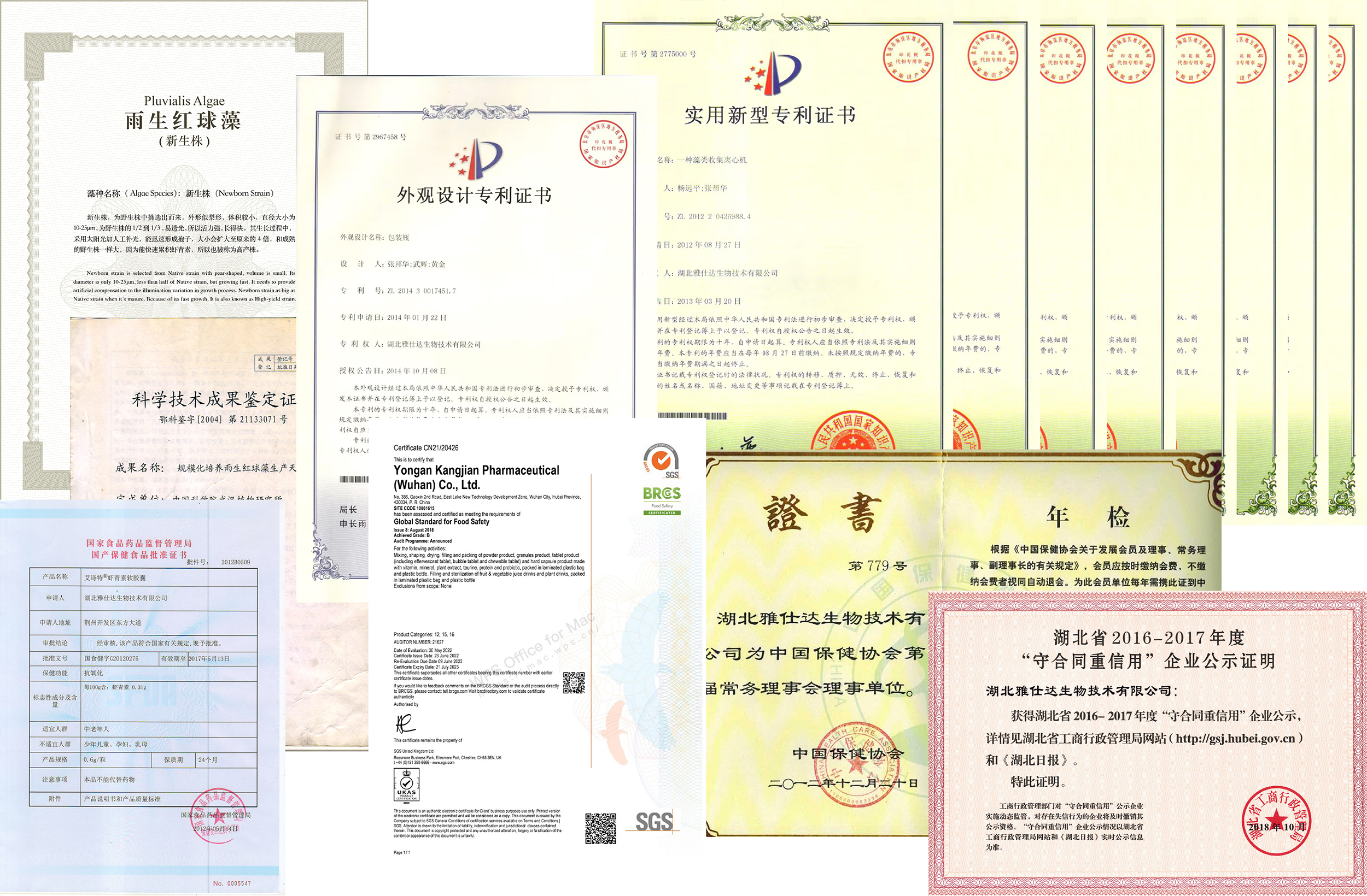 艾詩特蝦青素 艾詩特蝦青素