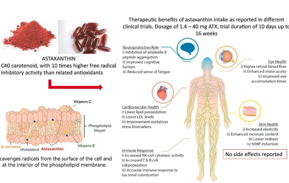 艾詩(shī)特蝦青素