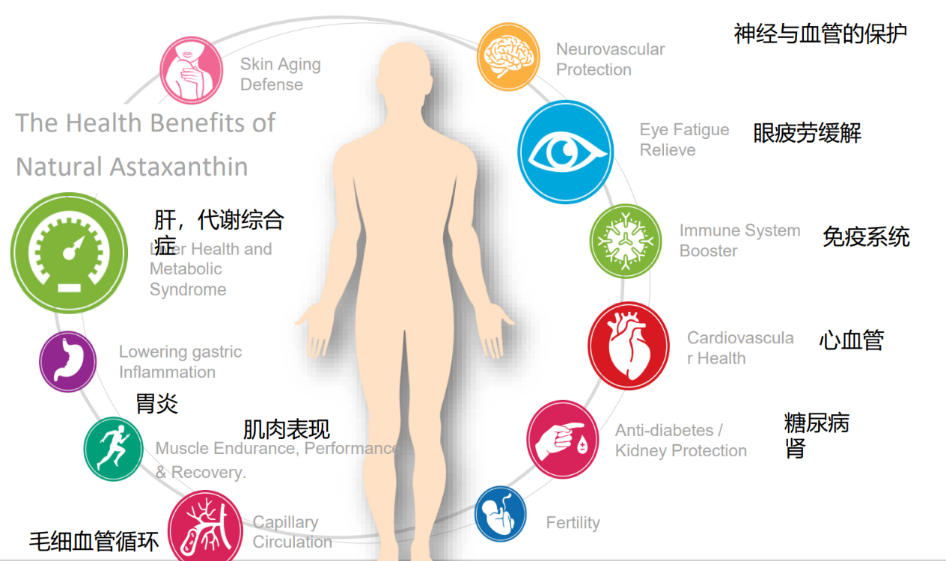 艾詩特蝦青素 艾詩特蝦青素