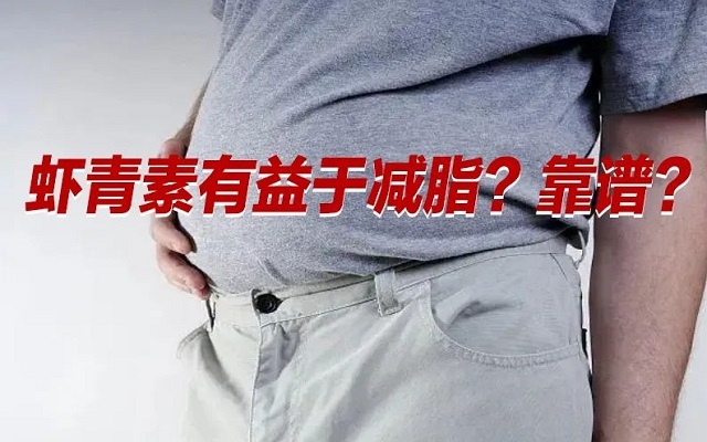 【冷知識】肥胖居然是一種炎癥！蝦青素有益于“消炎”？